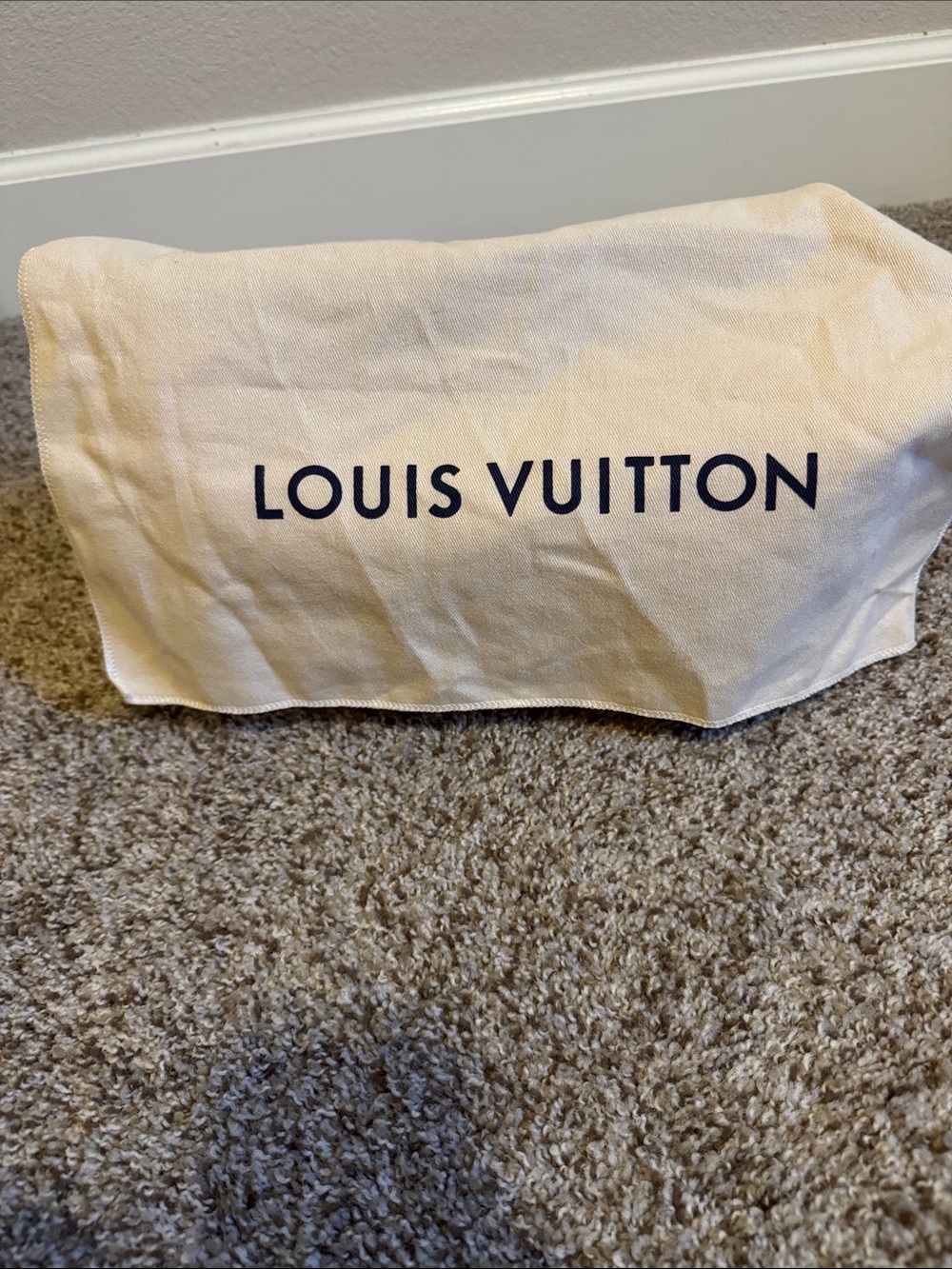 AUTHENTIC LOUIS VUITTON DIANE HANDBAG - Picture 13 of 13